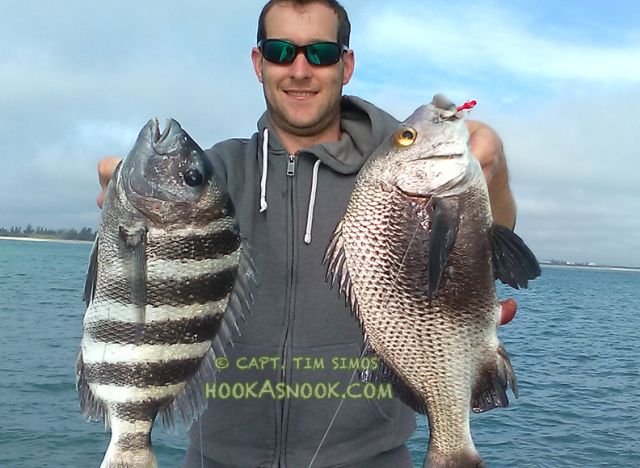 Fishing guide - sheepshead