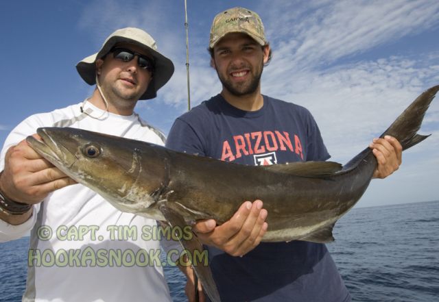 Fishing guide Florida Cobia fishing