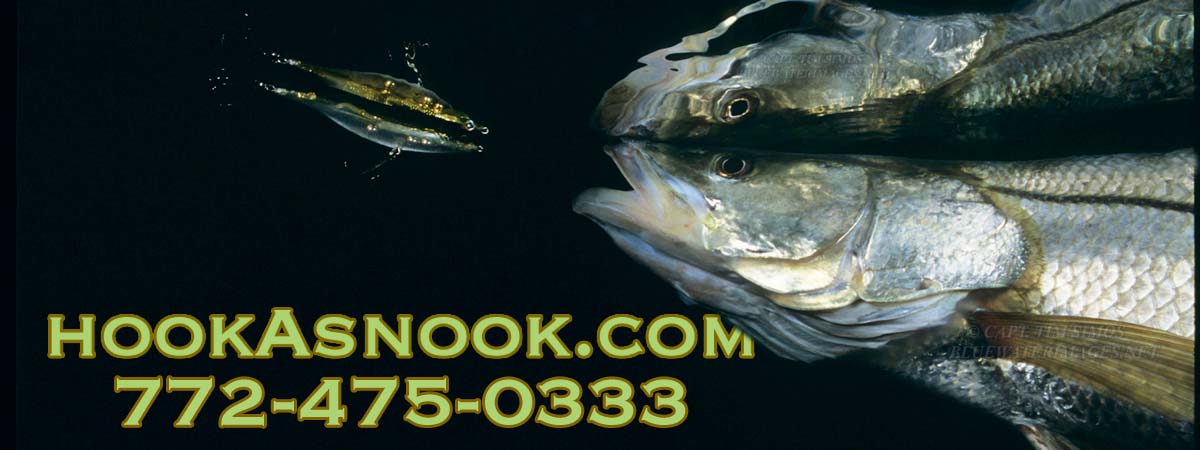 hook a snook - snook guide Florida