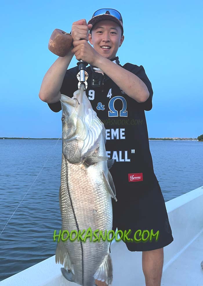 big snook fishing - Capt Tim Simos